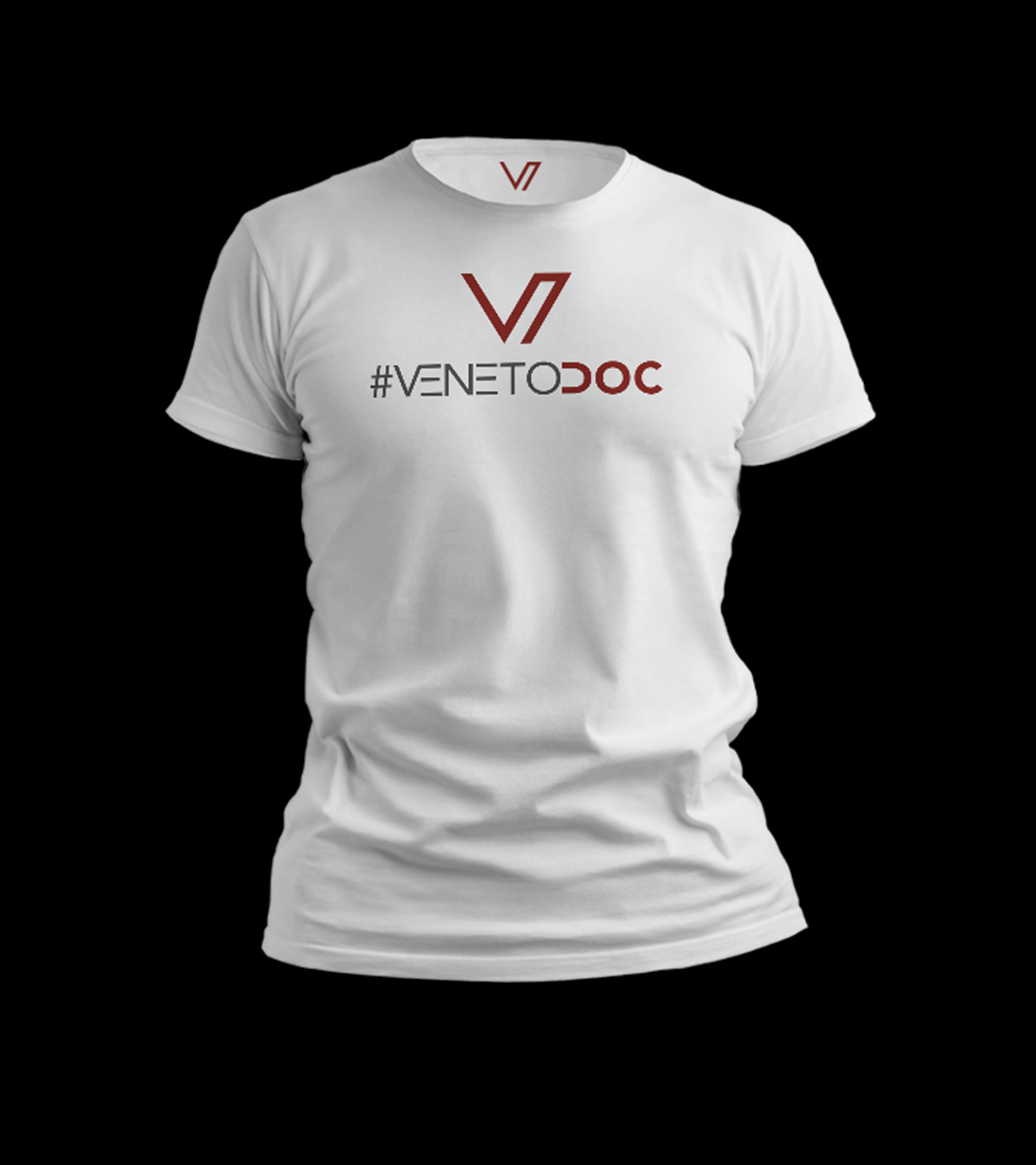banner-t-shirt-leone-san-marco-veneto-doc